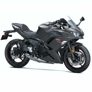 Moto Ninja 650 ABS Gris 2022