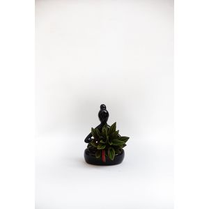Maceta Yoga con Peperomia