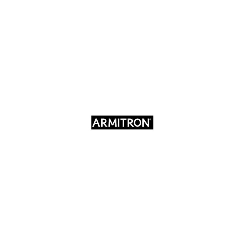 Armitron logo online