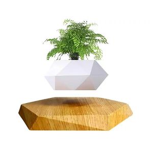Maceta Levitante Blanca Base Clara Hexagonal