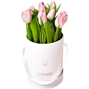 Tulips Box 1 con Tulipanes Rosados en Envase Marmoleado